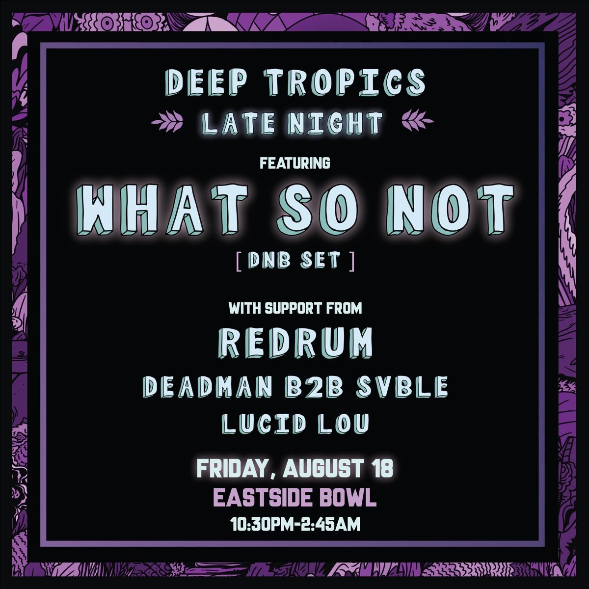 What So Not flyer